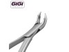 3F Dr. Woodward Extraction Forceps, Straight Handle