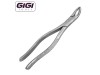 203 Universal Extraction Forceps
