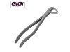 Extraction Forceps, Lower Anterior, Tapered