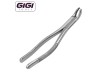 217 Extraction Forceps