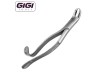 3F Dr. Woodward Extraction Forceps, Hook Handle