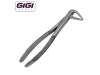 233 English Pattern Extraction Forceps