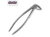 33 English Pattern Extraction Forceps