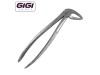 33M English Pattern Extraction Forceps