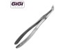 45 English Pattern Extraction Forceps