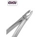 34 English Pattern Extraction Forceps, Notched Beaks