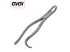 24 Universal Extraction Forceps