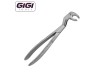 22 1/2L English Pattern Extraction Forceps