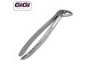 33A English Pattern Extraction Forceps