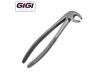 MD4 Mead Extraction Forceps