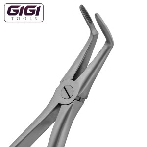 46L English Pattern Extraction Forceps