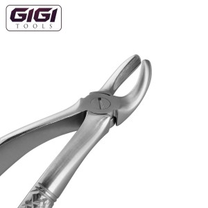 19 English Pattern Extraction Forceps