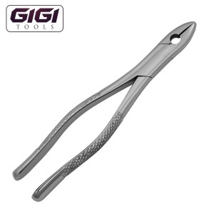 1 Extraction Forceps