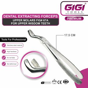 Adult Extraction Forceps Fig. 67A Upper Wisdom Teeth / Third Molars - Image 3
