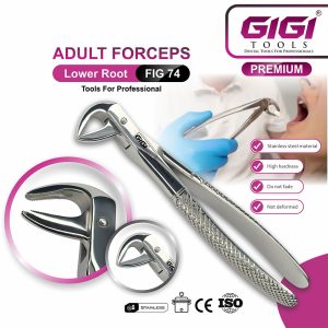 Adult Extraction Forceps Fig. 74 Lower Roots & Incisors - Image 3