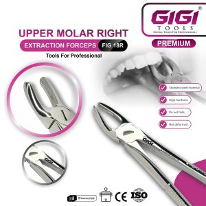 Adult Extraction Forceps Fig. 18R Upper Molars - Right - Image 3
