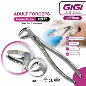 Adult Extraction Forceps Fig. 73 Lower Molars - Image 3