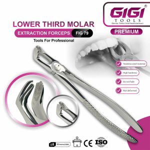 Adult Extraction Forceps Complete 10-Piece Master Set - Image 5