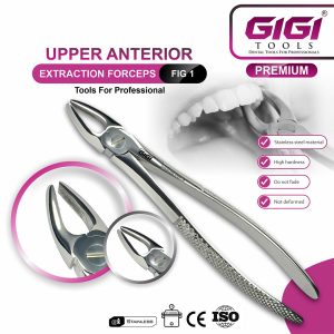 Adult Extraction Forceps Complete 10-Piece Master Set - Image 6