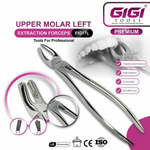 Adult Extraction Forceps Complete 10-Piece Master Set - Image 7
