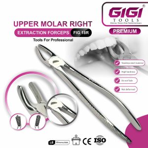 Adult Extraction Forceps Complete 10-Piece Master Set - Image 8