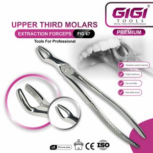 Adult Extraction Forceps Complete 10-Piece Master Set - Image 11