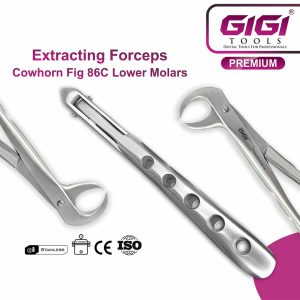 Adult Lower Cowhorn Extraction Forceps Fig. 86C - Image 4