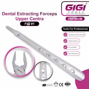 Dental Extracting Forceps Fig. #1 (Upper Centrals & Cuspids) - Image 3