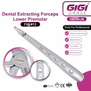 Dental Extracting Forceps Fig. #13 (Lower Premolar) - Image 3