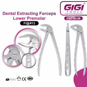 Dental Extracting Forceps Fig. #13 (Lower Premolar) - Image 4