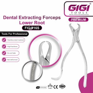 Dental Extracting Forceps Fig. 16S for Lower Roots - Image 3