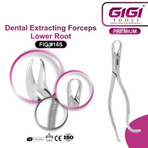 Dental Extracting Forceps Fig. 16S for Lower Roots - Image 4