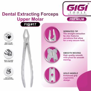 Dental Extracting Forceps Fig. #17 (Upper Molar) - Image 5