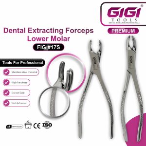 Dental Extracting Forceps Fig. 17S for Lower Molars - Image 3
