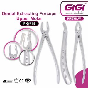 Dental Extracting Forceps Fig. #18 (Upper Molar) - Image 4