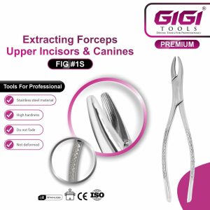 Dental Extracting Forceps Fig. 1S for Upper Incisors and Canines - Image 3