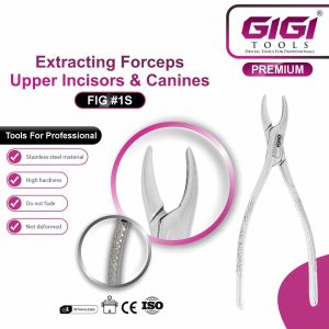 Dental Extracting Forceps Fig. 1S for Upper Incisors and Canines - Image 4