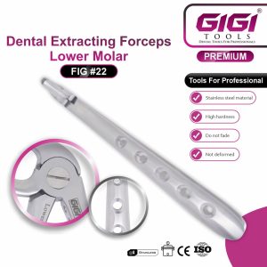 Dental Extracting Forceps Fig. #22 (Lower Molar) - Image 3