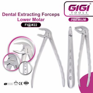 Dental Extracting Forceps Fig. #22 (Lower Molar) - Image 4