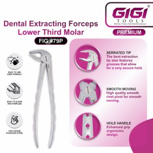 Dental Extracting Forceps Fig. #22 (Lower Molar) - Image 5