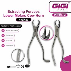 Dental Extracting Forceps Fig. 23 Cow Horn for Lower Molars - Image 3