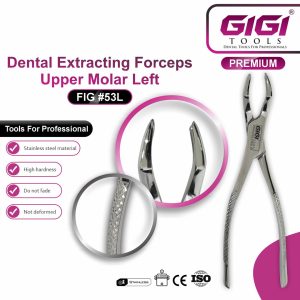 Dental Extracting Forceps Fig. 53L & 53R – Upper Molar - Image 3