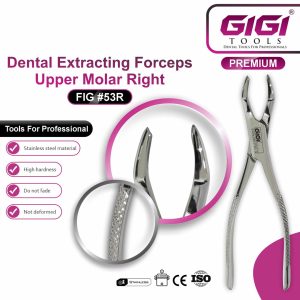 Dental Extracting Forceps Fig. 53L & 53R – Upper Molar - Image 6