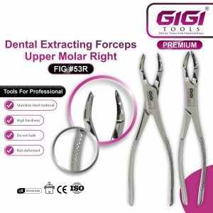 Dental Extracting Forceps Fig. 53L & 53R – Upper Molar - Image 7