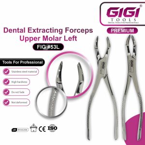 Dental Extracting Forceps Fig. 53L & 53R – Upper Molar - Image 4