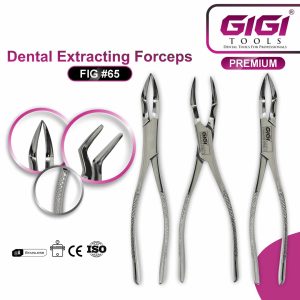 Dental Extracting Forceps Fig. 65 for Upper Roots and Fragments - Image 4