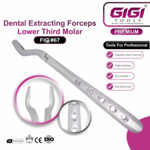 Dental Extracting Forceps Fig. 67 (Bayonet Pattern) for Upper Third Molars - Image 3