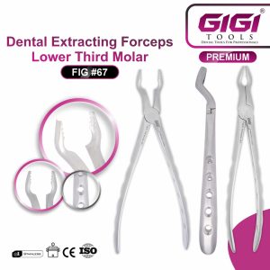 Dental Extracting Forceps Fig. 67 (Bayonet Pattern) for Upper Third Molars - Image 4