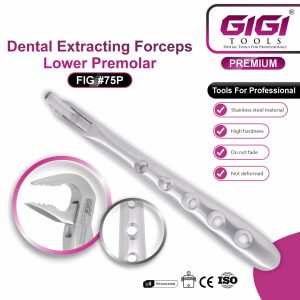 Dental Extracting Forceps Fig. #75P (Lower Premolar / Lower Third Molar) - Image 3