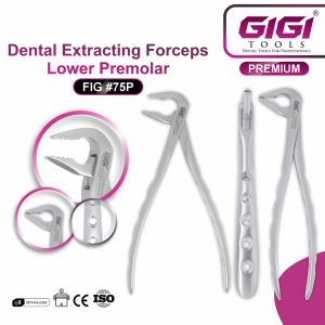 Dental Extracting Forceps Fig. #75P (Lower Premolar / Lower Third Molar) - Image 4